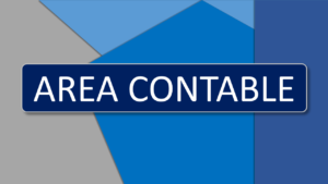Alvaro Iriarte Area Contable