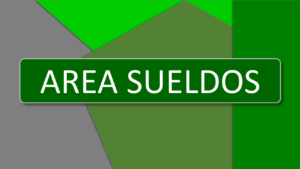 Alvaro Iriarte Area Sueldos